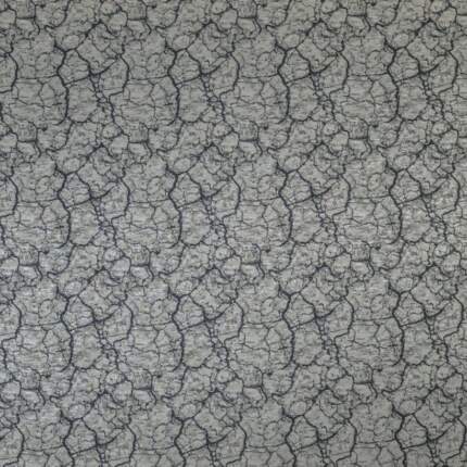 TECTONIC-FOSSIL.jpg TECTONIC-FOSSIL.jpg