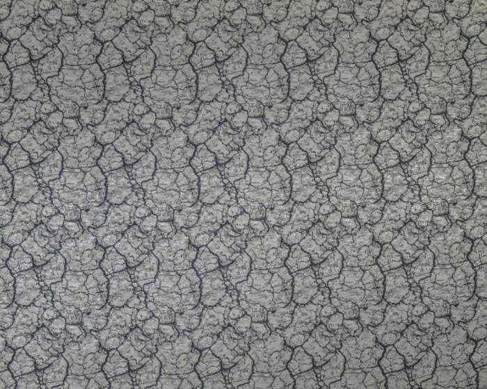 TECTONIC-FOSSIL.jpg TECTONIC-FOSSIL.jpg