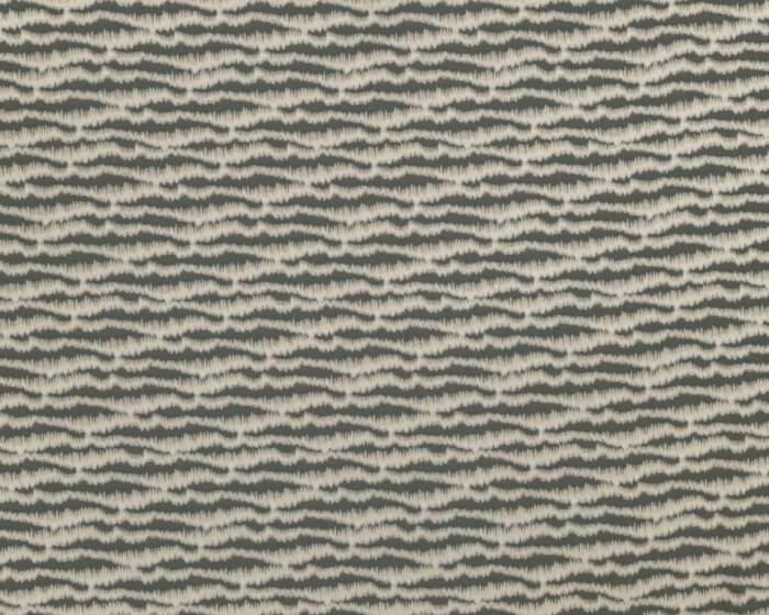 TORRENT-FOSSIL.jpg TORRENT-FOSSIL.jpg