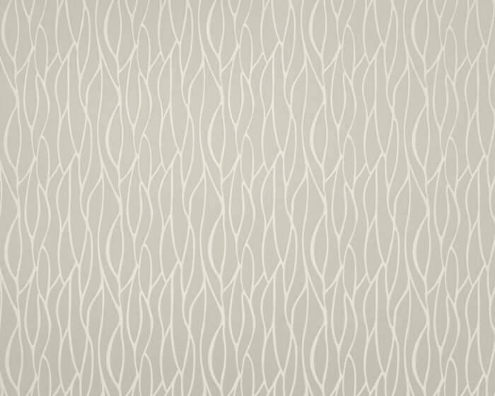 VALENCE-OYSTER.jpg Valence Oyster - Image 1