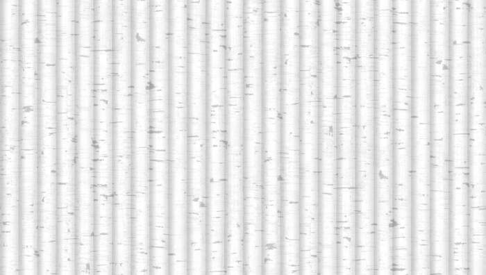 GN CLASSY 81280-1 GNI CLASSY 81280-1 - Image 2