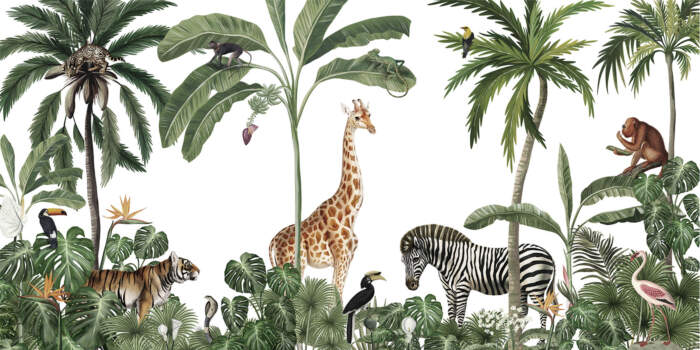 Jungle Jive - White Jungle Jive - White