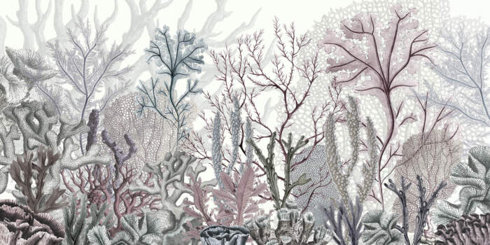 Ocean Wonders Dreamland - Ocean Wonders - Image 7