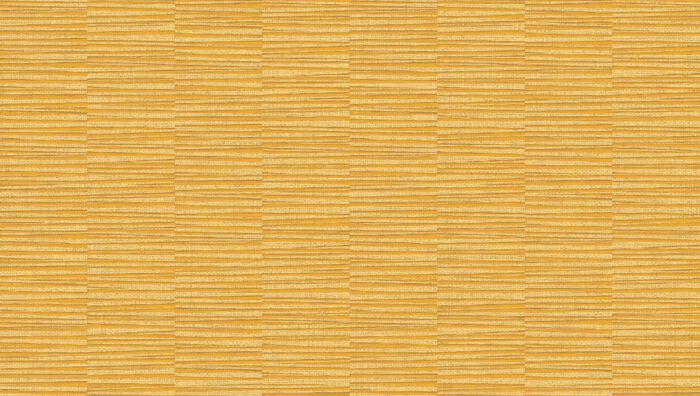 GN-CLASSY-81283-3 GN-CLASSY-81283-3