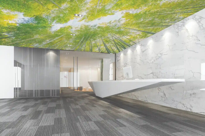 CANOPY-OF-LIFE-8801-98-room CANOPY-OF-LIFE-8801-98-room