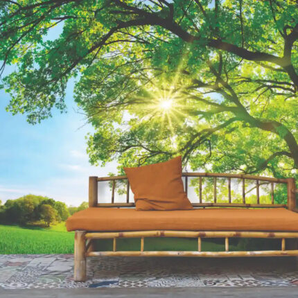 CANOPY-OF-POSITIVITY-8801-112-room