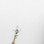 GNI LOHAS 24/25 87452-1