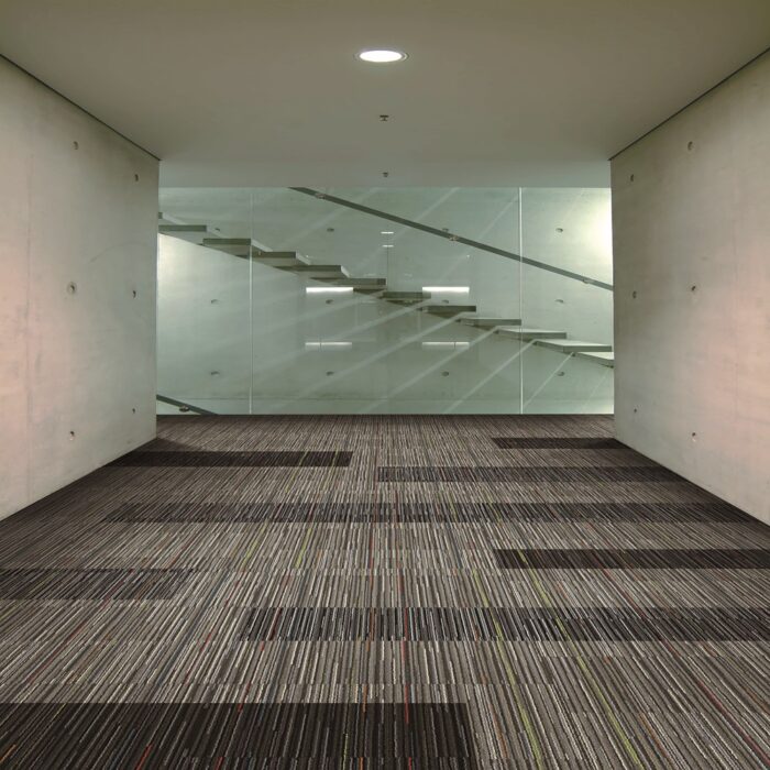 E679-Serus E679-Serus