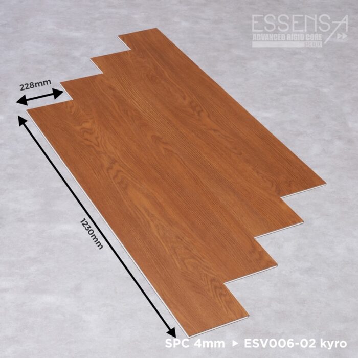 ESV006-02-kyro-5 ESV006-02-kyro-5