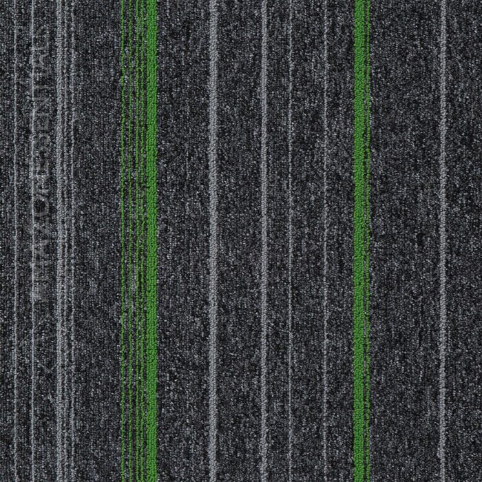 M9005-4-century-forest-8 AMZ Essentials M9005-4 Century Forest - Image 2