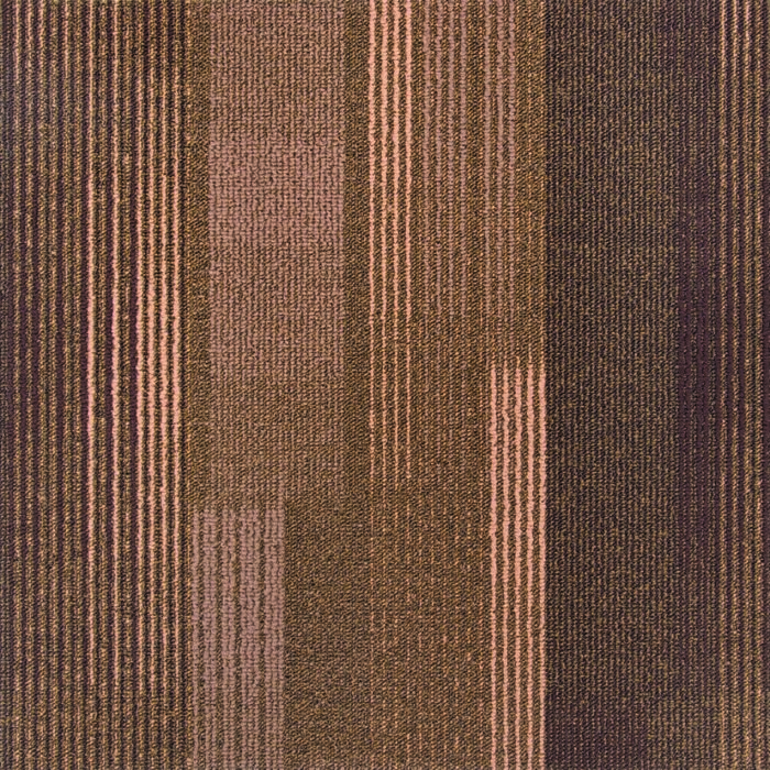P6505-5-OBSEF-8 P6505-5-OBSEF-8