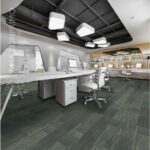 AMZ Primo P8004-5 Orbit Shadow