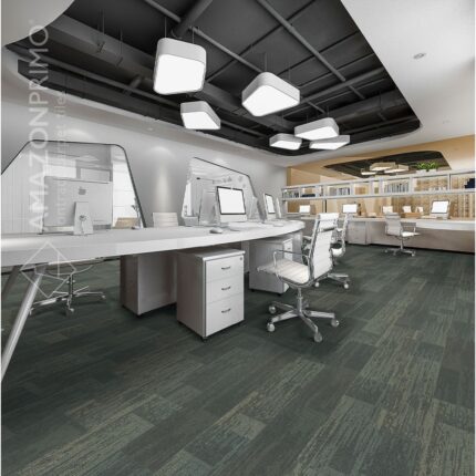 P8004-5-orbit-shadow-1