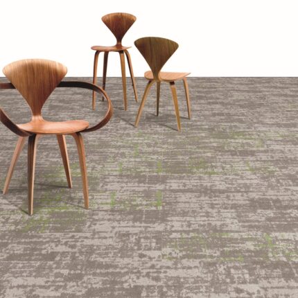 SAMN01-morph-green-min