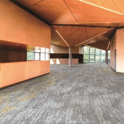 SAMN03-morph-yellow-min