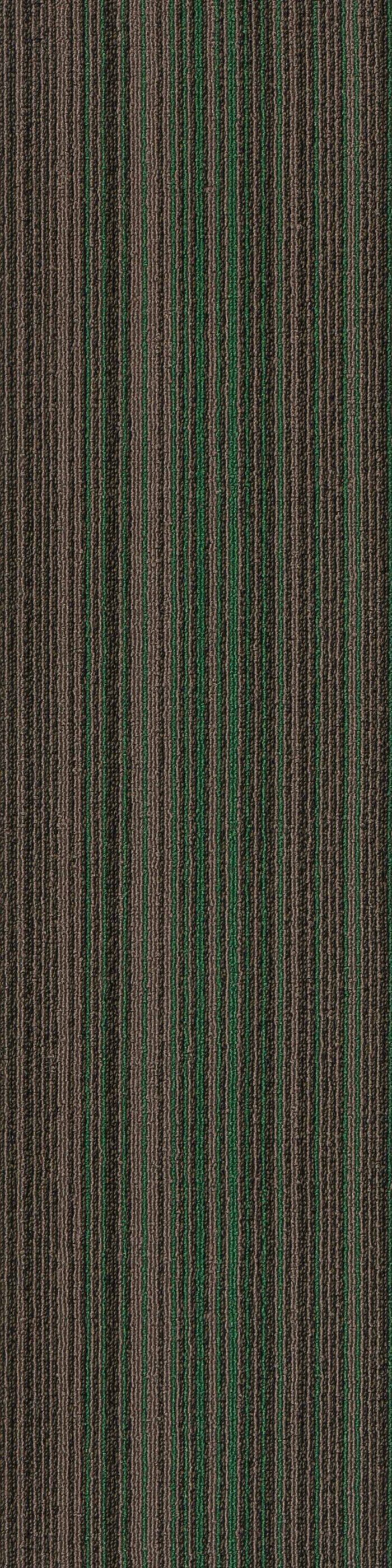 SHBZ01-C-Blaze-Green-Max-8 SHBZ01-C-Blaze-Green-Max-8