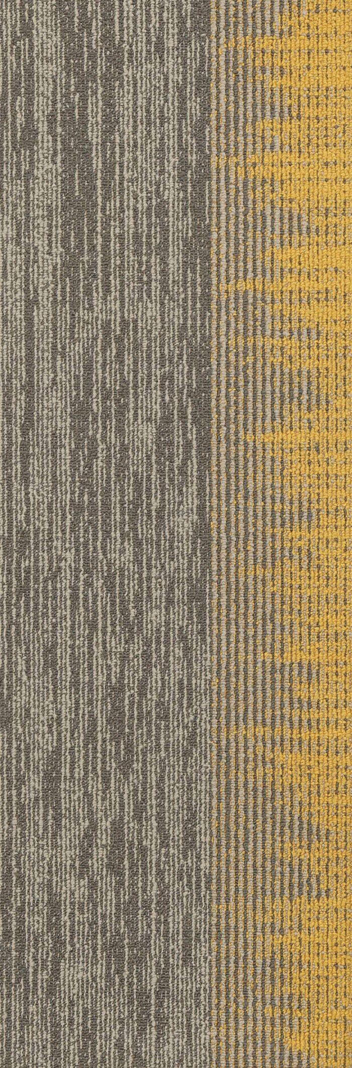 SIAR01-auroria-beige-yellow-8 SIAR01-auroria-beige-yellow-8