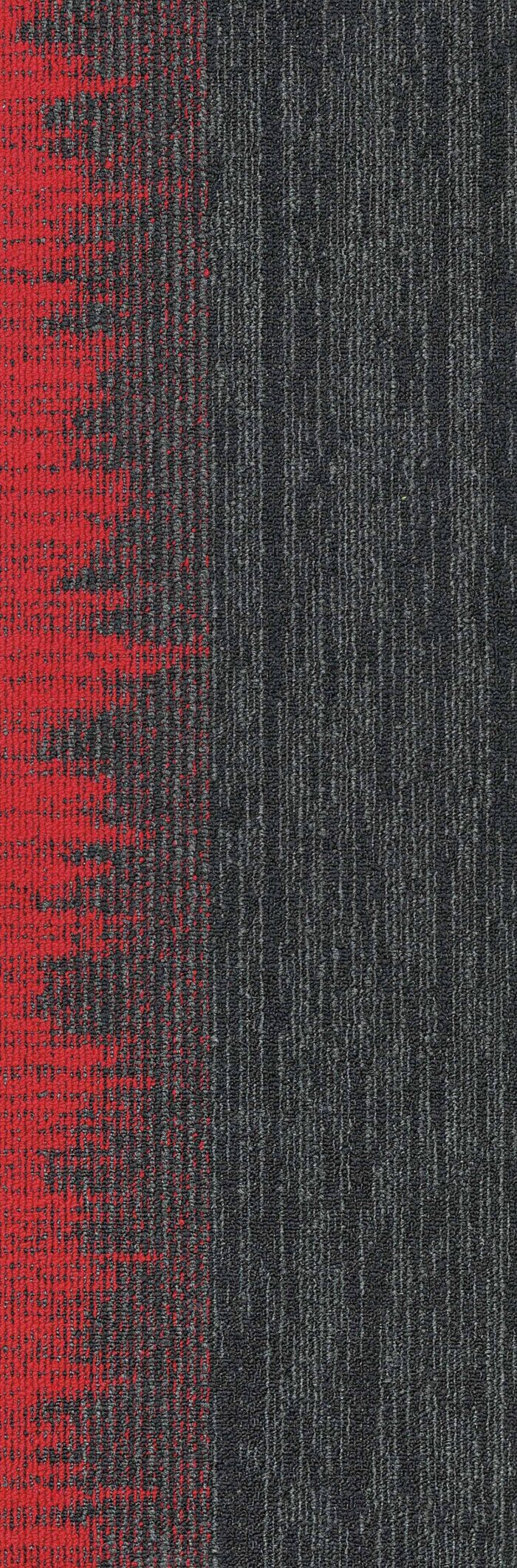 SIAR07-auroria-black-red-8 SIAR07-auroria-black-red-8