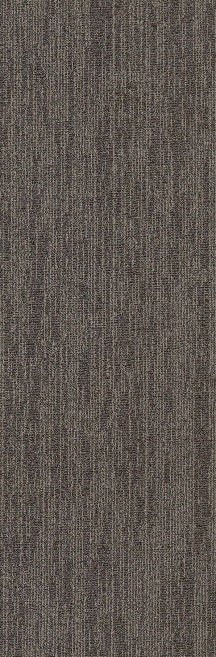 SIAR10-auroria-brown-8 SIAR10-auroria-brown-8