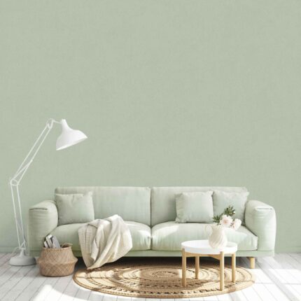 JOINUS-8617-7-lithos