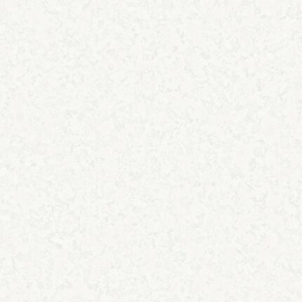 GN-FESTA-81342-1 GN-FESTA-81342-1