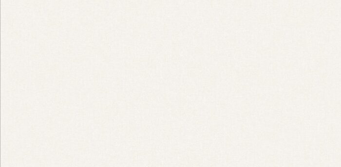 DECENT-88654-1 DECENT-88654-1