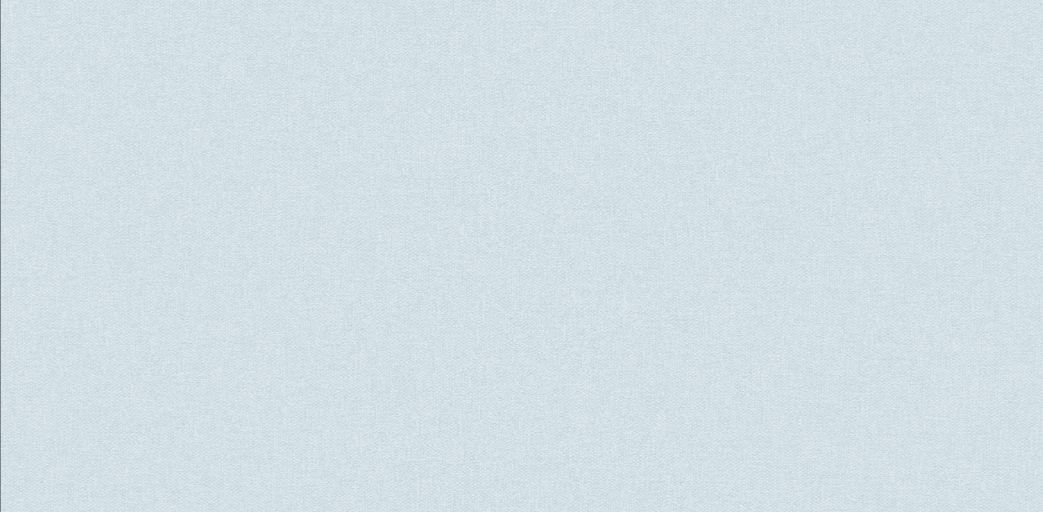 DECENT886542  Wallpaper  Carpets Distributors