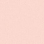 DECENT886543  Wallpaper  Carpets Distributors