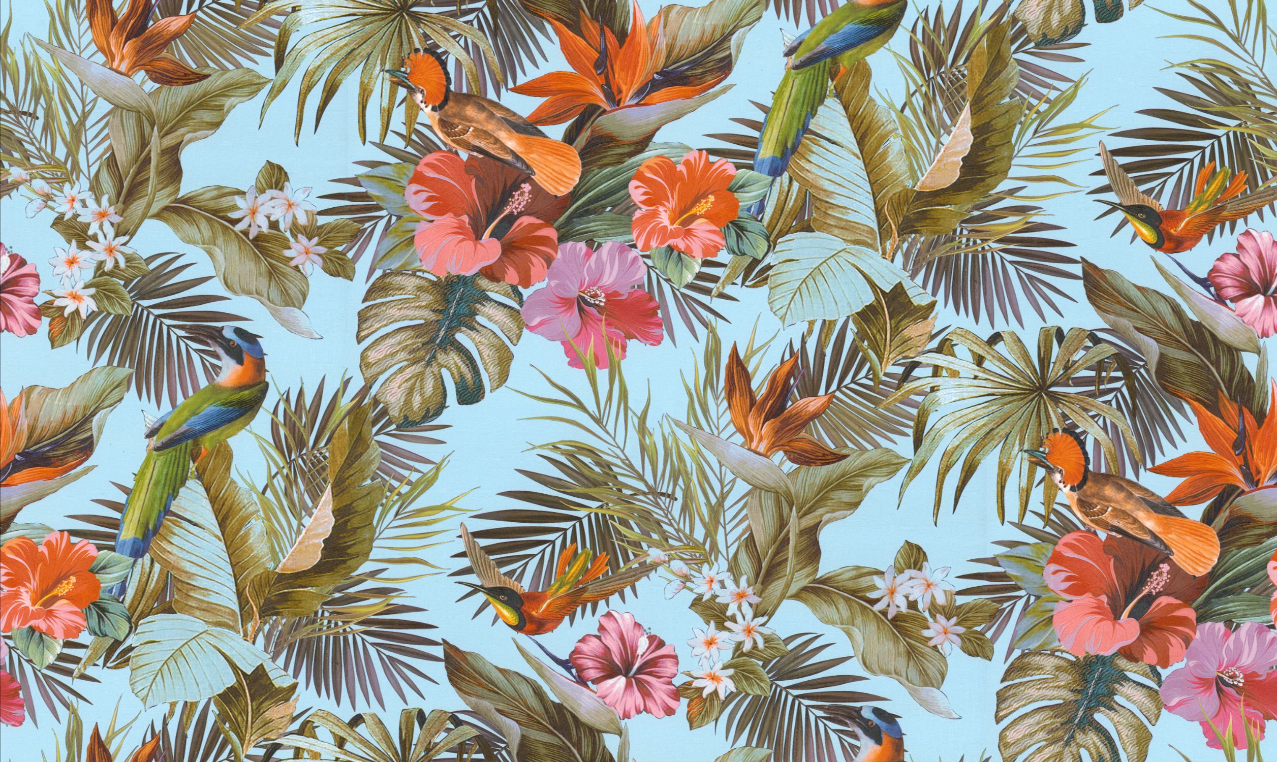 TAHITI-15511 TAHITI 15511 - Image 1